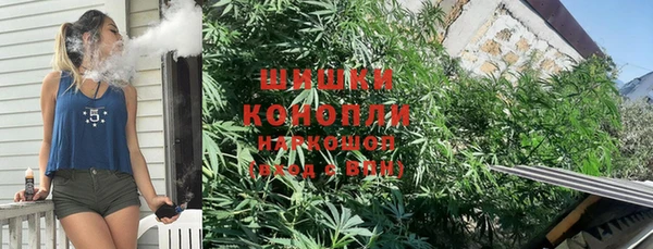 сатива Армянск