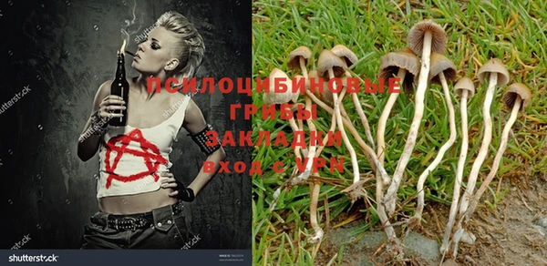 a pvp Арсеньев