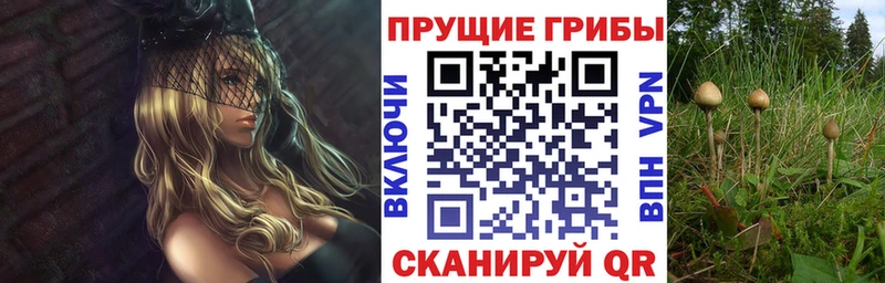Псилоцибиновые грибы прущие грибы  дарнет шоп  Снежинск 
